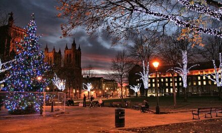 NHPUK Christmas Social Event 2024