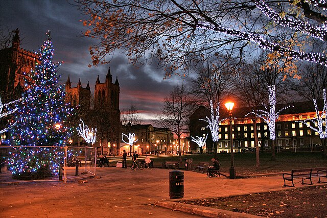 NHPUK Christmas Social Event 2024