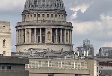 NHPUK Newsletter August 2026